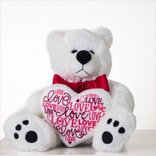 Dashing Dan Bear Gift
